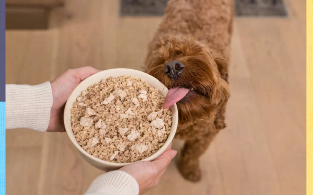 The fresh-food swap that could transform your dog’s daily routine
