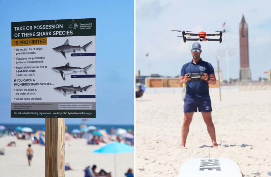 Sharks are arriving for NY’s 4th of July holiday, but this new tech is keeping bites at bay