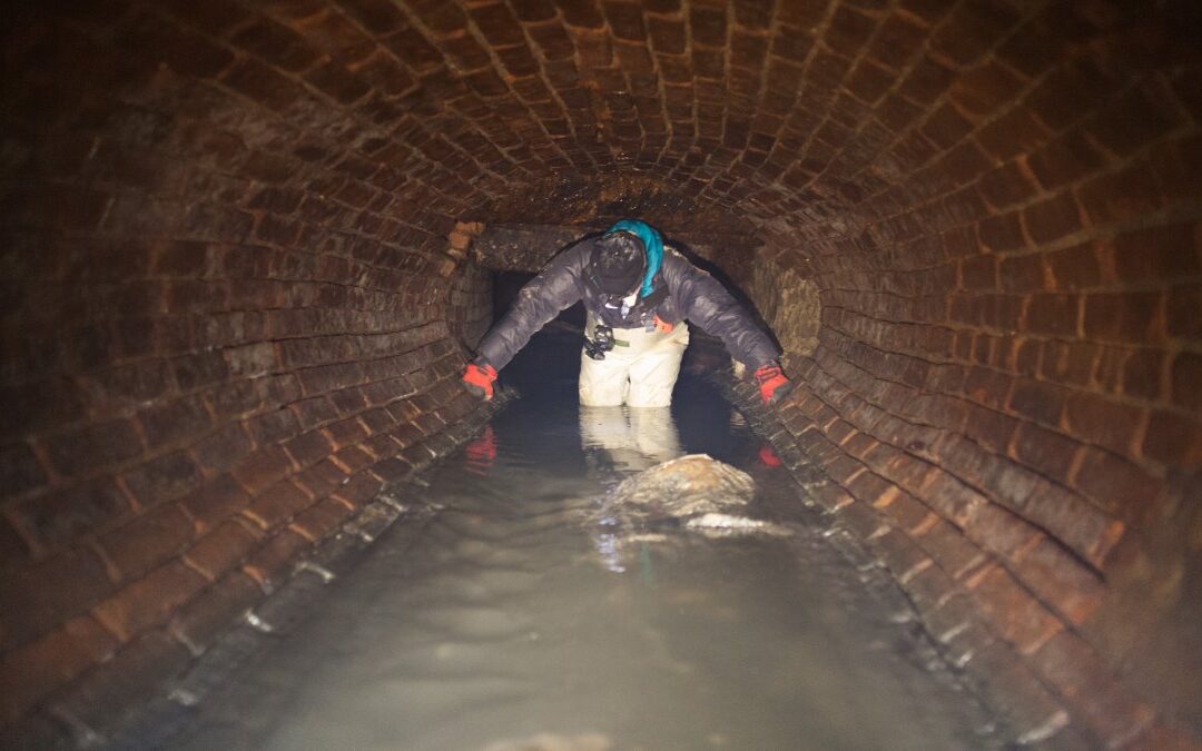 ‘Smell like death': What it's like inside NYC's dank, dangerous, bug-filled sewers