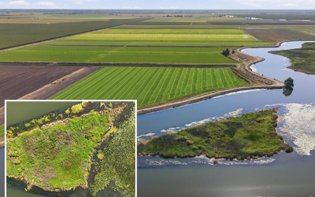 California private island up for sale as $39,000 listing sparks interest
