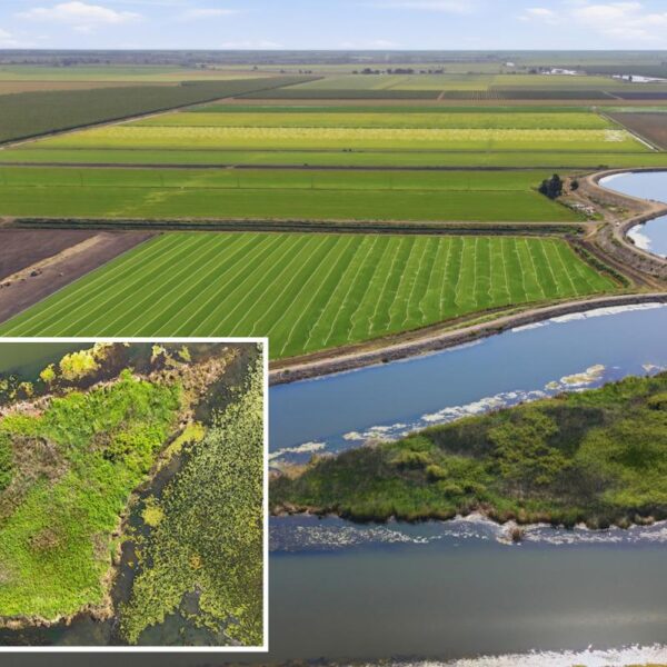 California private island up for sale as $39,000 listing sparks interest