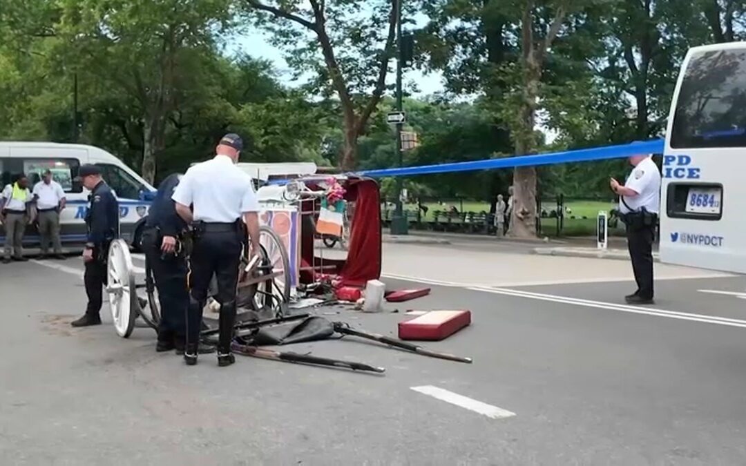 Central Park horse carriage rides halted, NYC mayor and leaders push ban after teen's death