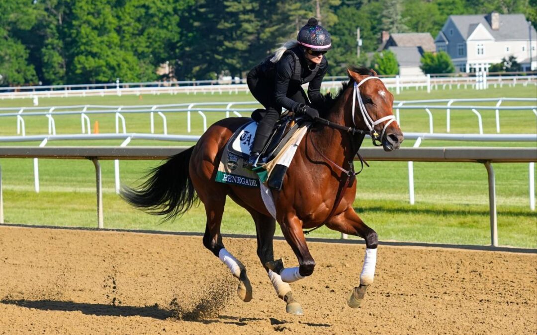 2026 Belmont Stakes picks: How should bettors play the favorite Renegade?