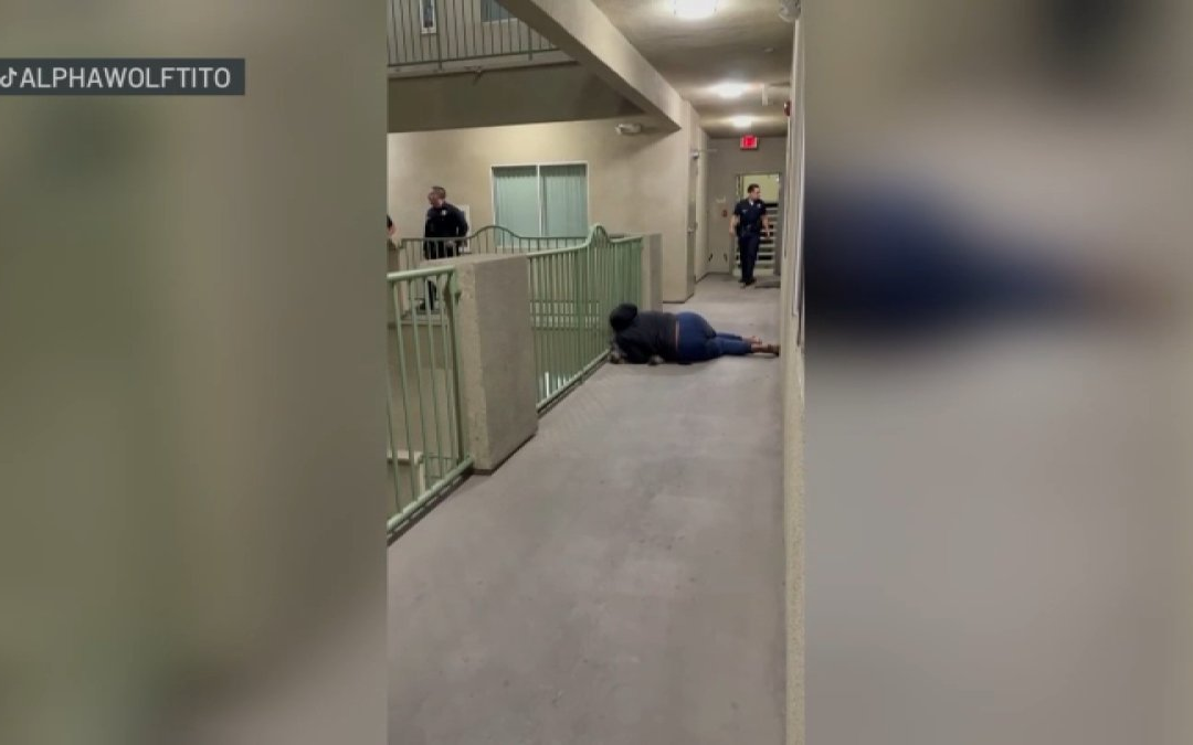 Fan's Knicks celebration ends with dog shot, killed by police in Los Angeles