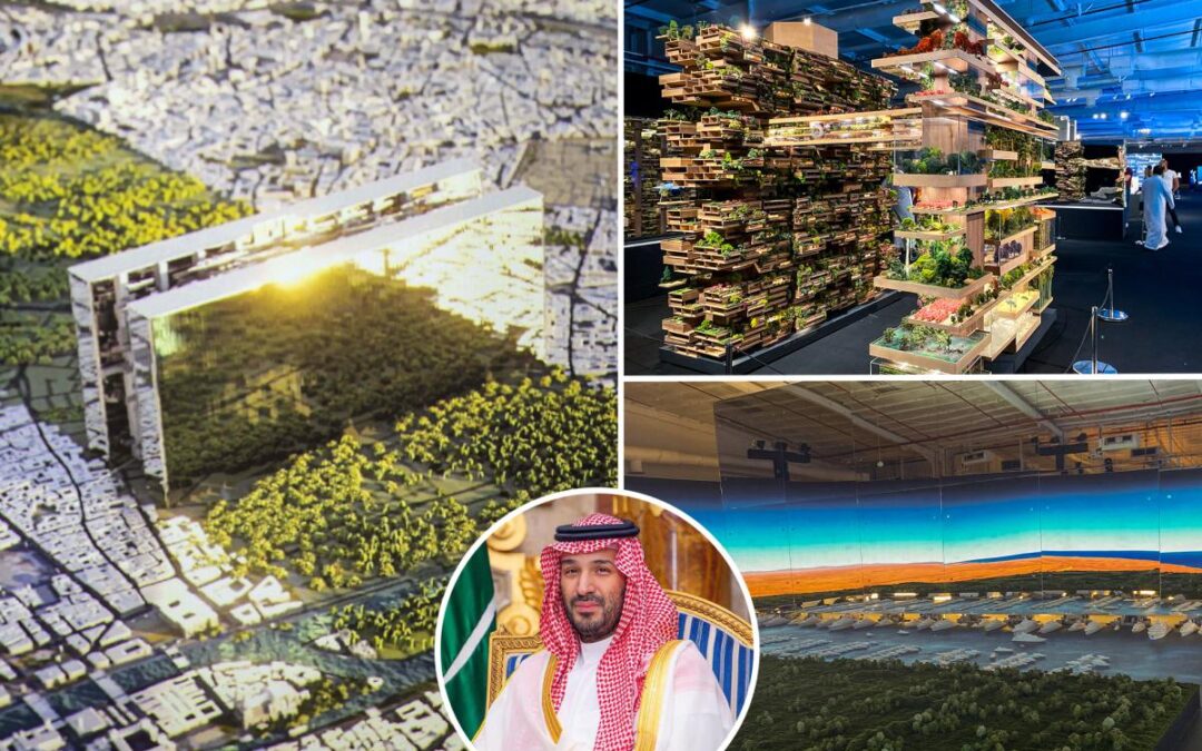 Saudi Arabian Crown Prince’s $12 trillion, desert-city dream in tatters as megaproject halted