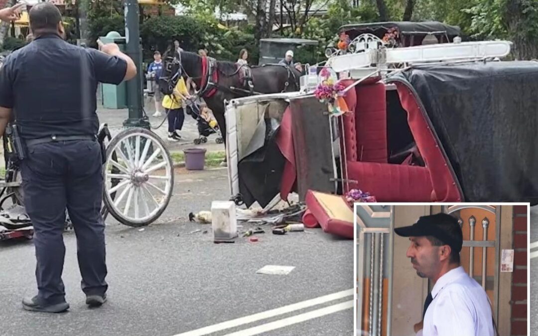 NYC carriage horse driver ‘devastated’ after teen tourist dies, union halts rides in response to tragedy