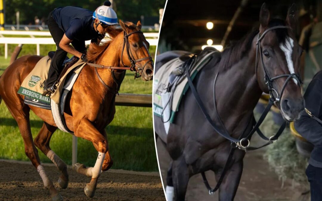 2026 Belmont Stakes prediection, preview, picks: Which horses to use in exactas, trifectas?