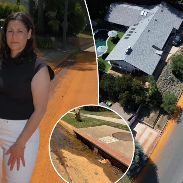 Vile mystery liquid turns everything orange in luxe LA neighborhood where homes cost $3M