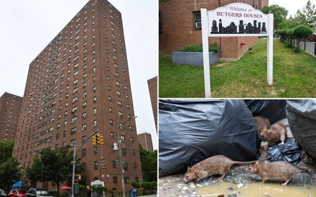 NYC mom sues NYCHA claiming her 2 kids were bitten and ‘permanently injured’ by mice in her rodent-infested home