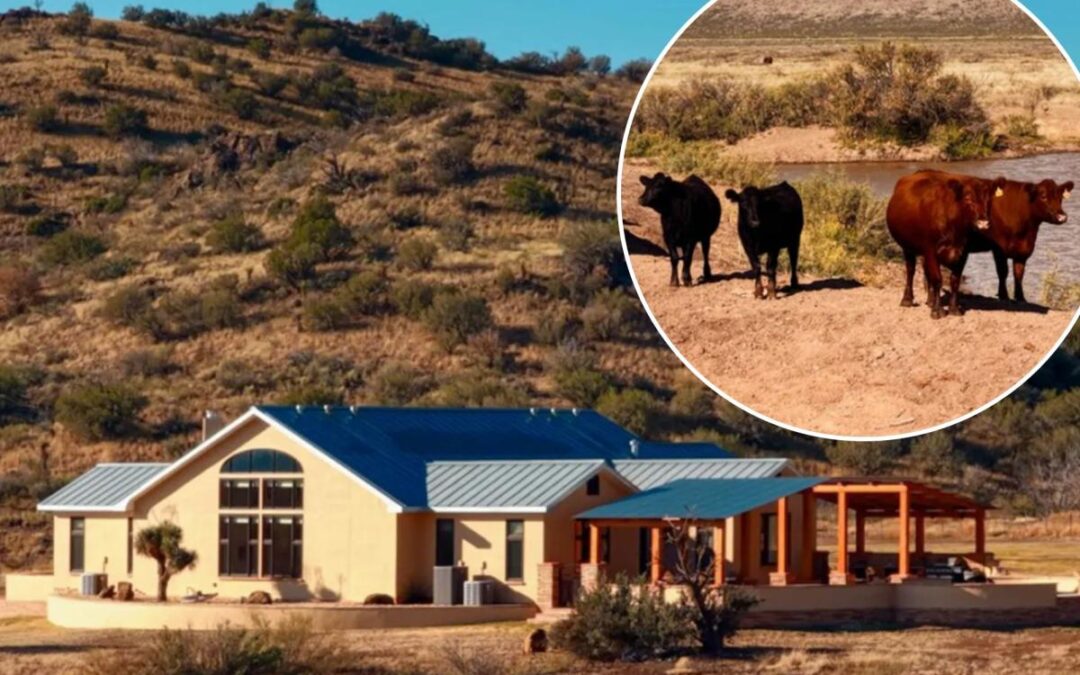 Texas cattle ranch sells for a whopping $46M after going on market for first time in 60 years