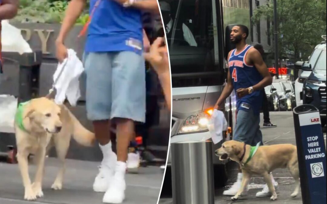 Mikal Bridges brings his dog to Knicks’ champonship parade