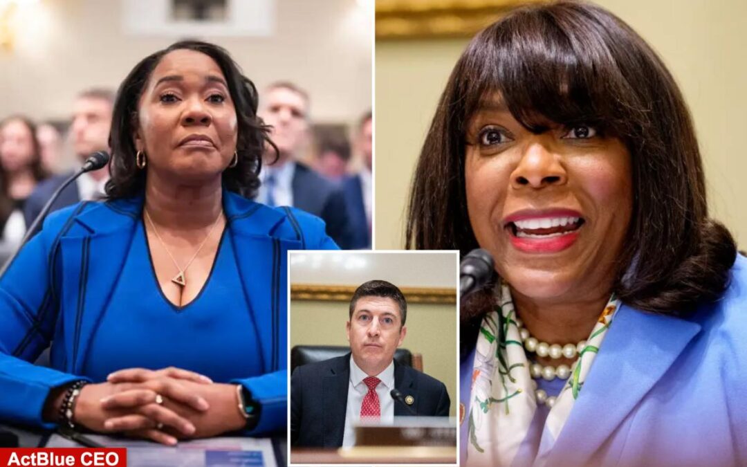 House Dem lashes out at GOP efforts to probe foreign donations with stunning claim on motive