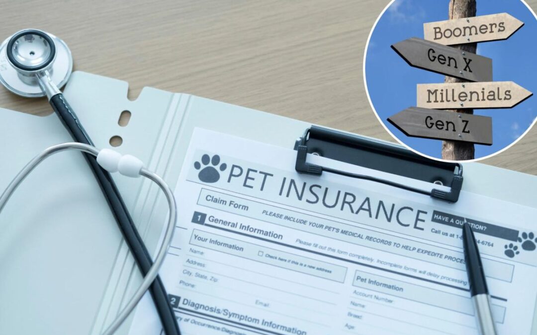 The 2026 petflation crisis: How outrageous vet bills are breaking everyone from Gen Z to Boomers