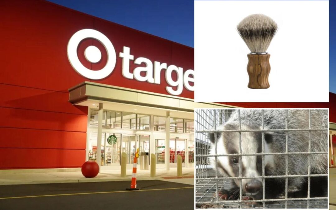 Major retailers stop selling brushes made with badger hair