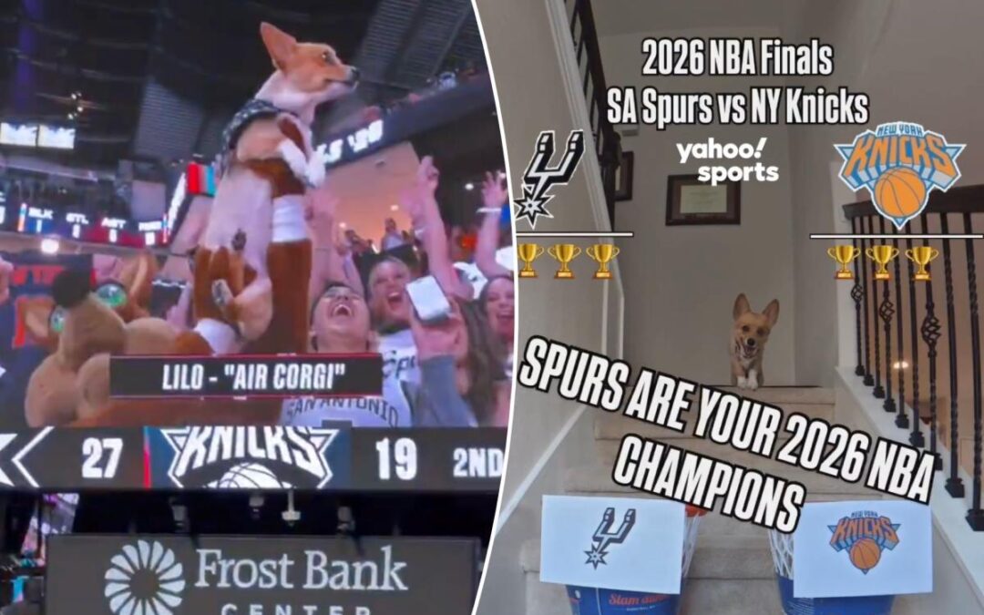 Air Corgi’s NBA Finals Game 1 appearance backfires on Spurs fans