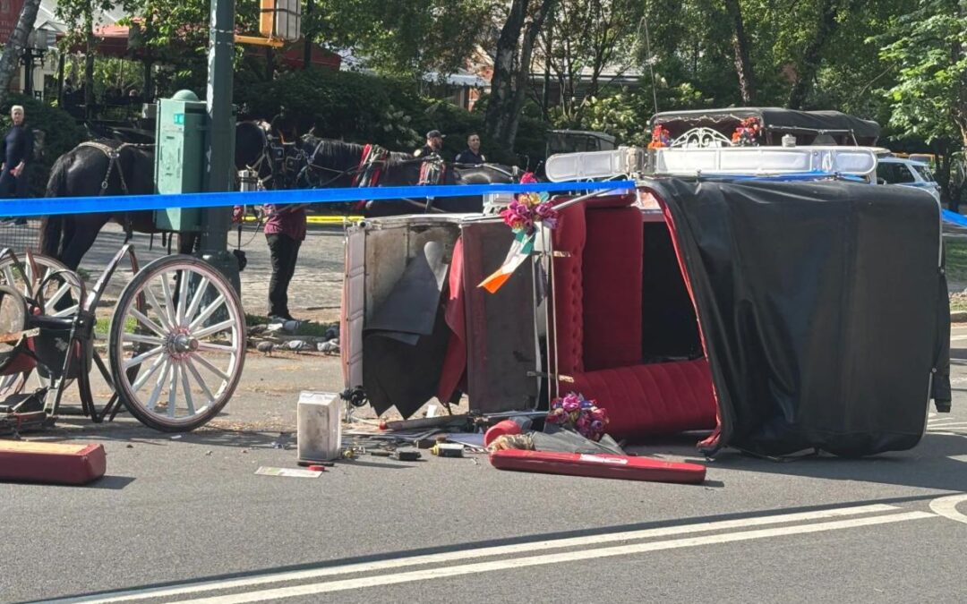 The carriage horse question: Letters to the Editor — June 26, 2026