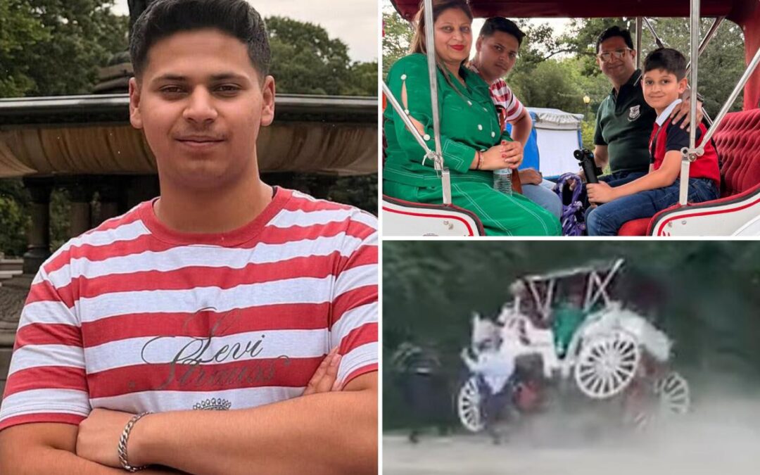 Teen killed in Central Park horse carriage crash was all smiles moments before death: video