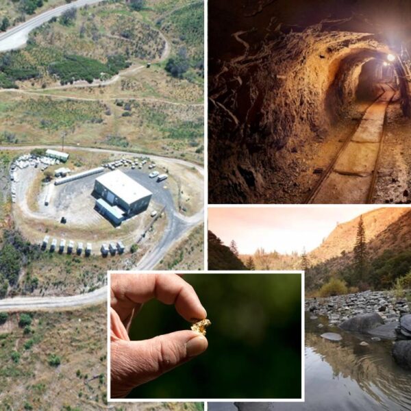New gold rush as massive mining operation looks to pull $8B out of California’s Mother Lode