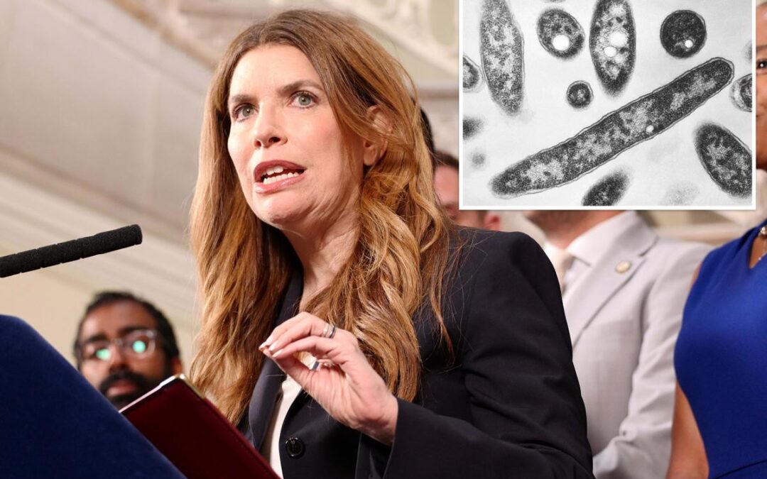 Council Speaker Julie Menin demands NYC-ordered cooling tower inspections as Legionnaires’ disease outbreak increases