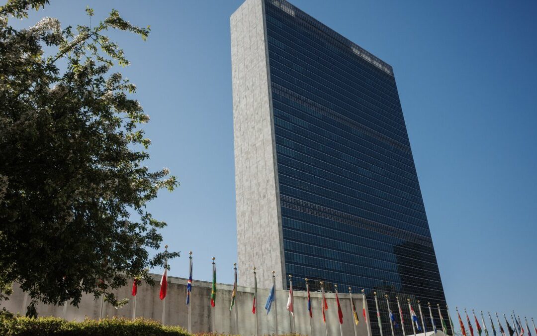 Man with a Tibetan flag dies after setting himself on fire in front of UN headquarters