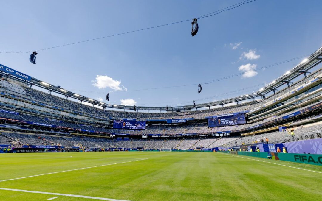 FIFA charging $450 for pieces of field to be used in World Cup final