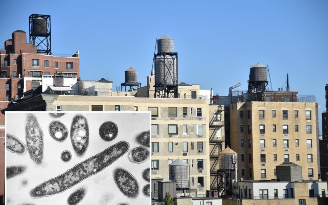 Over half the cooling towers in NYC Legionnaires’ outbreak area issued violations in recent months: records