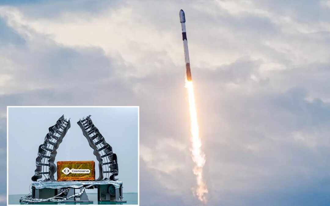The latest space race is to become the first galactic garbageman and clear up 6,000 tons of floating debris