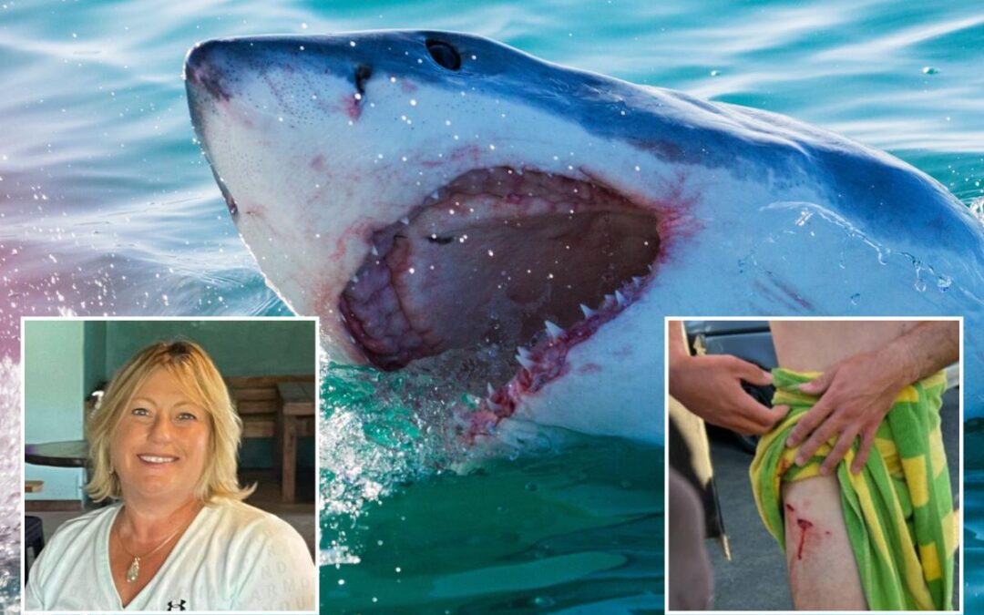 Why shark attacks in US waters are already nearing double figures even though summer just kicked off